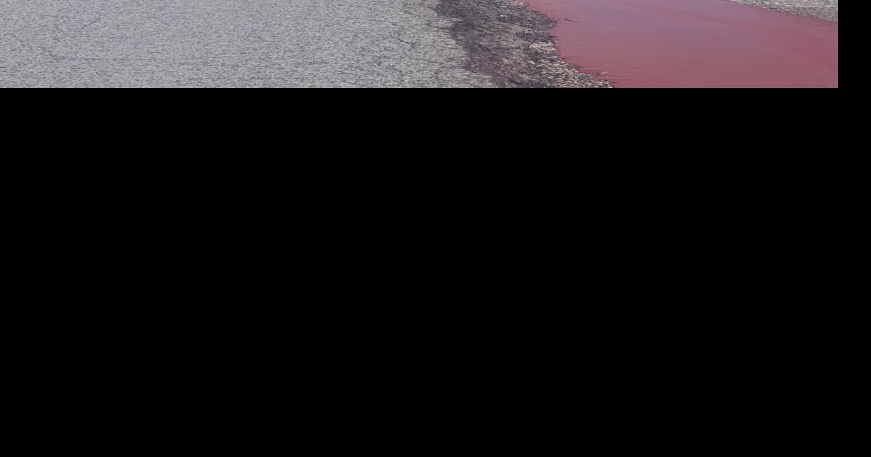 Truck leaks hot sauce while driving on I65 in Henryville News from