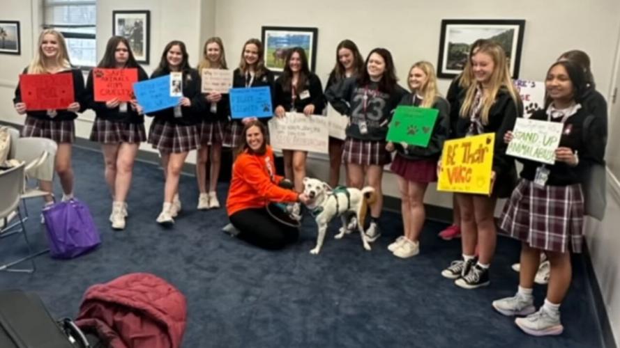 AHS students at Capitol for animal protection laws