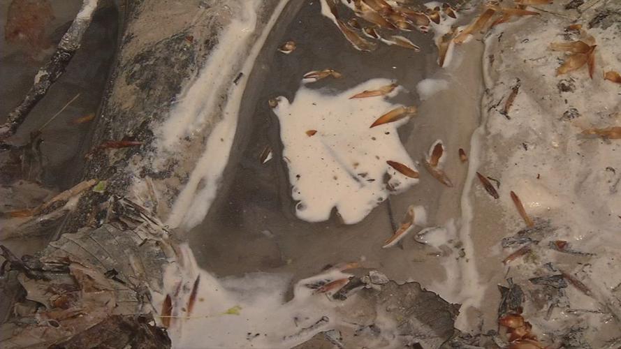 Sludge in Blue Lick Creek