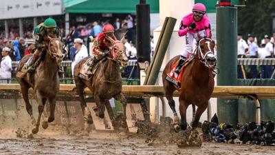 Maximum Security horse