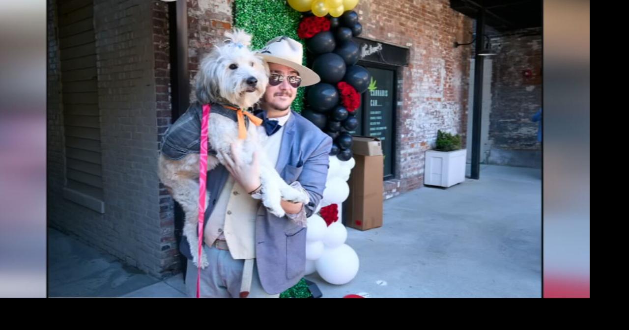 ‘Rescues on the Runway’ returns to help Louisville shelter pets find homes | Derby 151