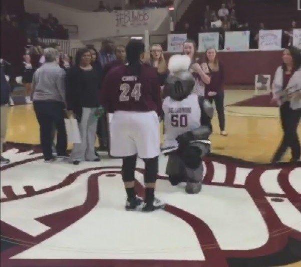 Bellarmine Women S Basketball Player Gets Engaged Before Game