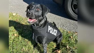 Elizabethtown Police K9 Indy