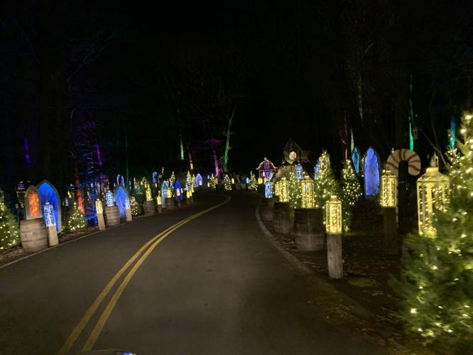 Winter Woods Spectacular (11).JPG