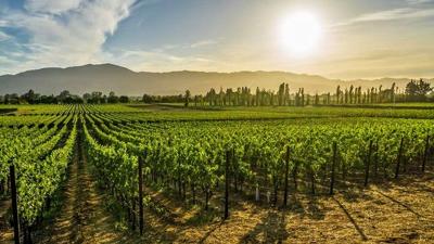 napa valley fox news 10-28-21.jpg