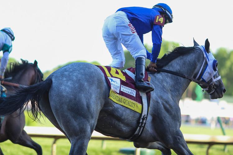 Essential Quality.jpg