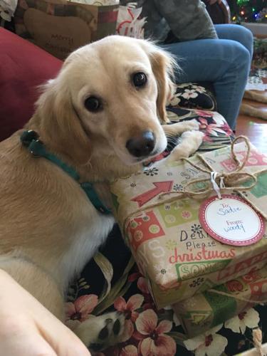 PET DAY - 12.jpg
