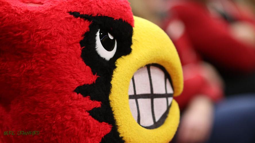 Louisville basketball bringing back dunking Cardinal logo