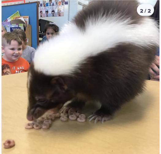 PET DAY - 13.jpg