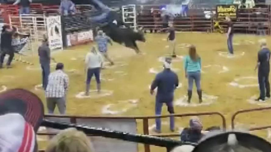 Owensboro Rodeo Raging Bull via Misty Brake Hambrick