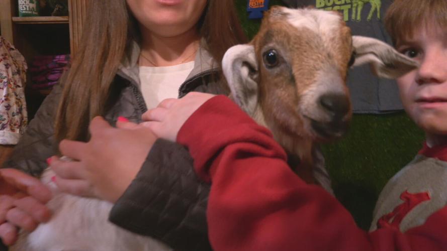 NULU BOCK FEST LAUNCH PARTY.jpeg