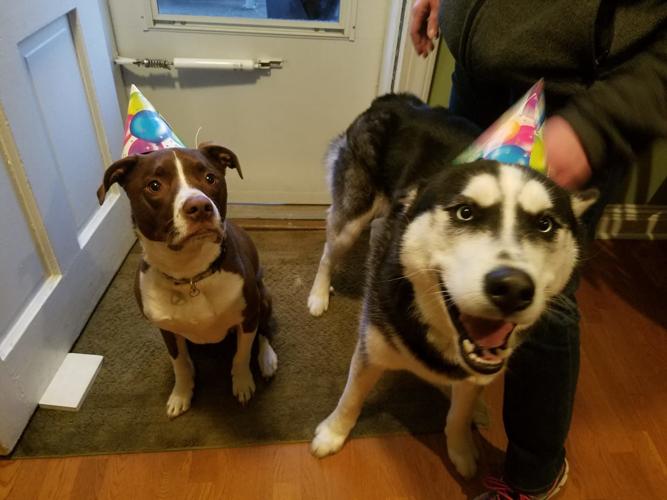 PET DAY - 17.jpg