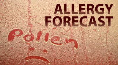 Pollen Problems This Week