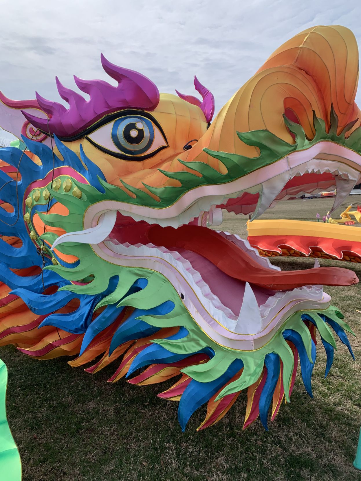 Asian Lantern Festival (dragon 2).jpg