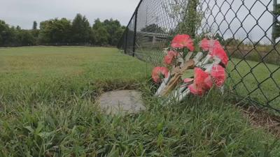 Grave at Meadow View