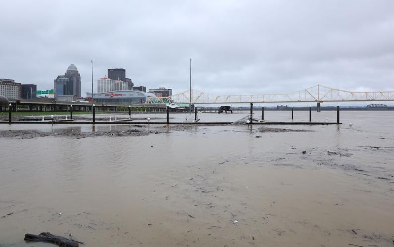 Flooding at Waterfront Park - April 6 flood.JPG