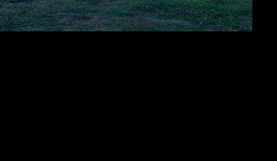 Semi truck rollover on I-71 south.jpg