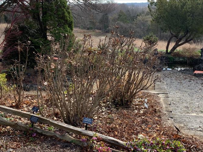 Yew Dell Botanical Gardens