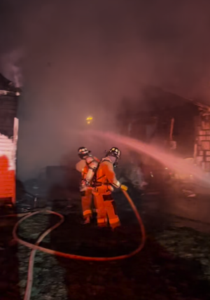 2 dogs die after fire spreads between homes in south Louisville