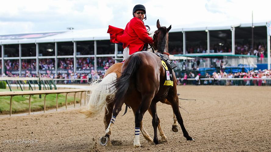 CRAWFORD Still buzzing Cowgill sues Trinity, but verdict of public