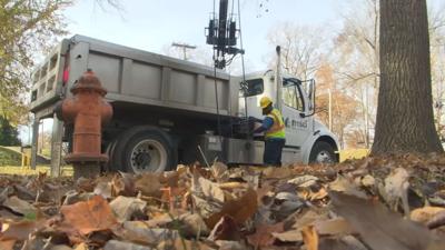 MSD LEAF CLEANING REMINDER