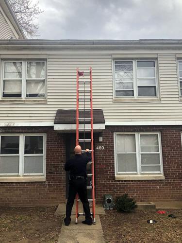LMPD cat rescue ladder 3-14-19