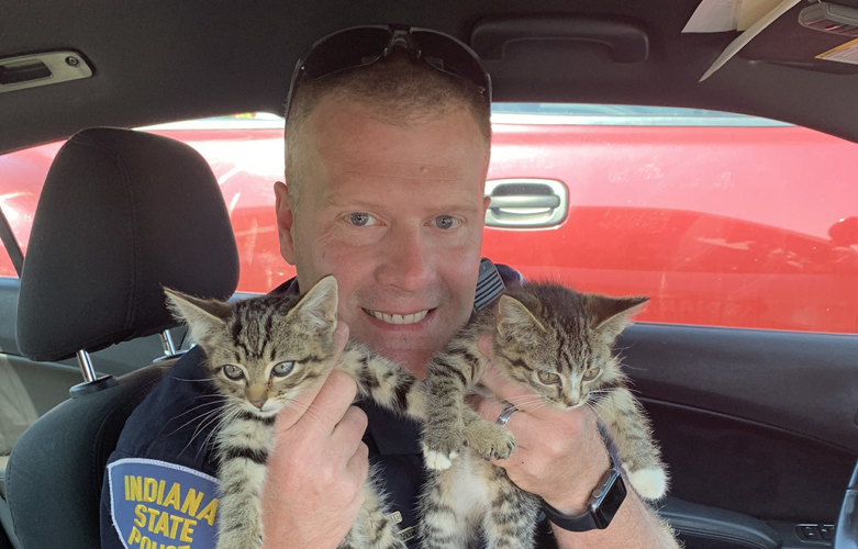Trooper with kittens
