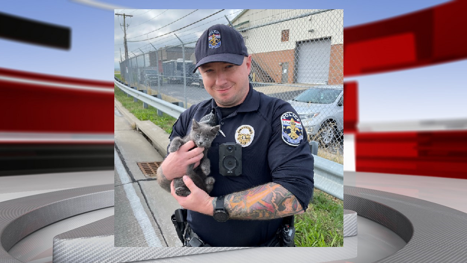 LMPD Officer Bonds With Kitten That Hid Under Patrol Car | Local News ...