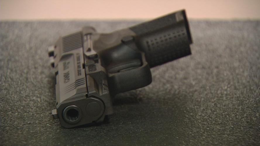 hand gun generic.jpeg