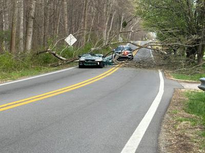 Tree falls on car, driver rescued near Manslick Road.jpg