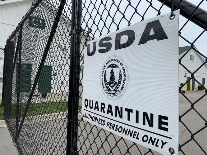 Churchill Downs quarantine stables (4).jpg