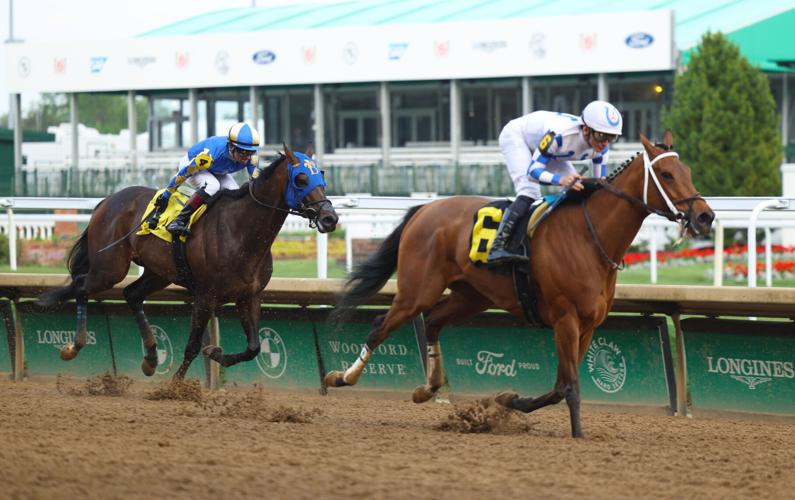 Horse close in the final stretch.JPG