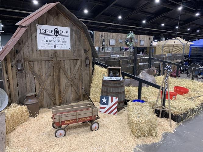 Kentucky State Fair Day 1