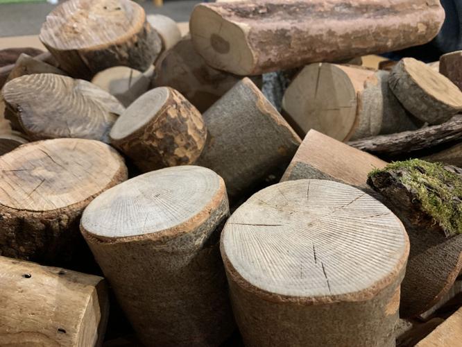 ColorFest at Bernheim Forest - Chopped Wood.jpeg