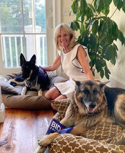 jill biden dogs 11-8-20.jpg