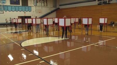 Voters at the polls (generic elections)