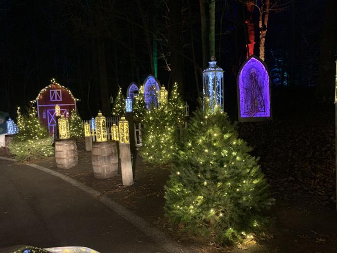 Winter Woods Spectacular (13).JPG