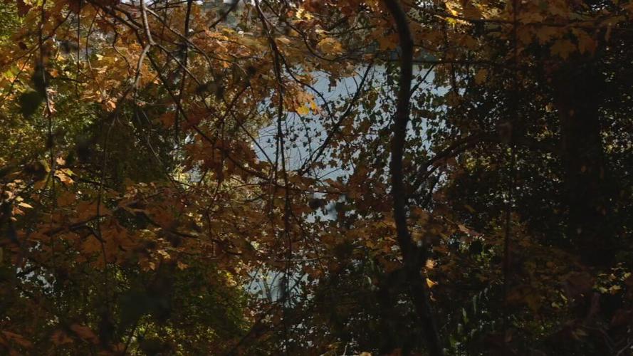 WITCHES CASTLE UTICA