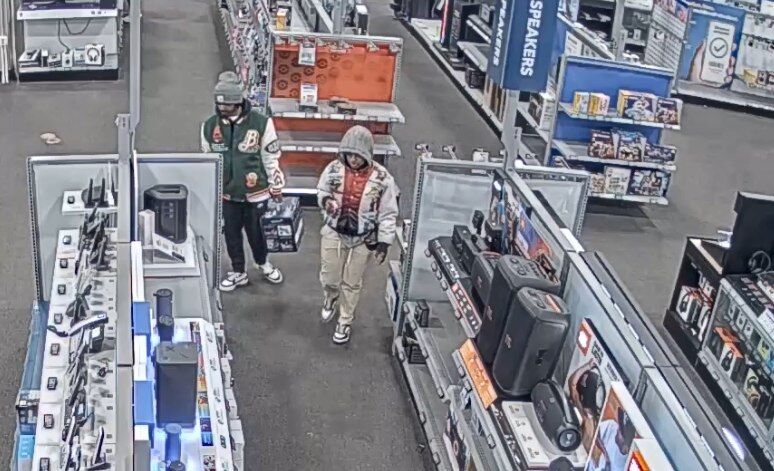Best Buy Theft Suspects