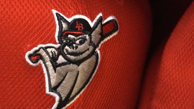 LOUISVILLE BATS.jpg
