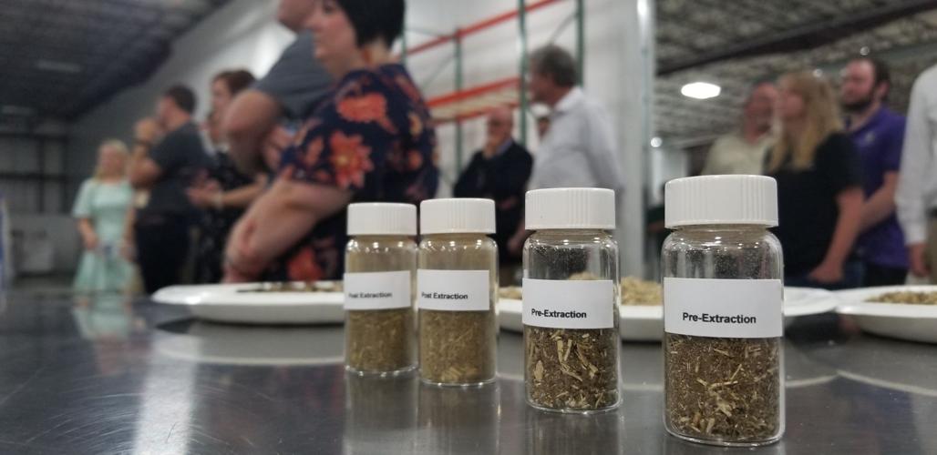 HEMP - CBD PRODUCTS - MCCONNELL PRESSER 7-2-19  - TOM ROUND (11).jpg