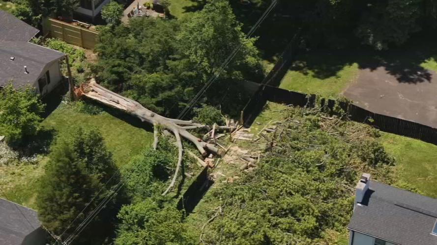 Storm damage in Louisville brought down power lines, damaged utility poles.