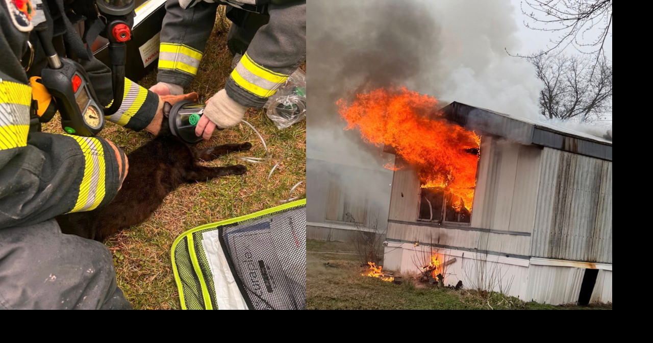 Firefighters rescue cat from trailer fire in Seymour, Indiana