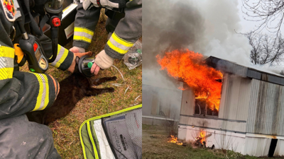Firefighters rescue cat from trailer fire