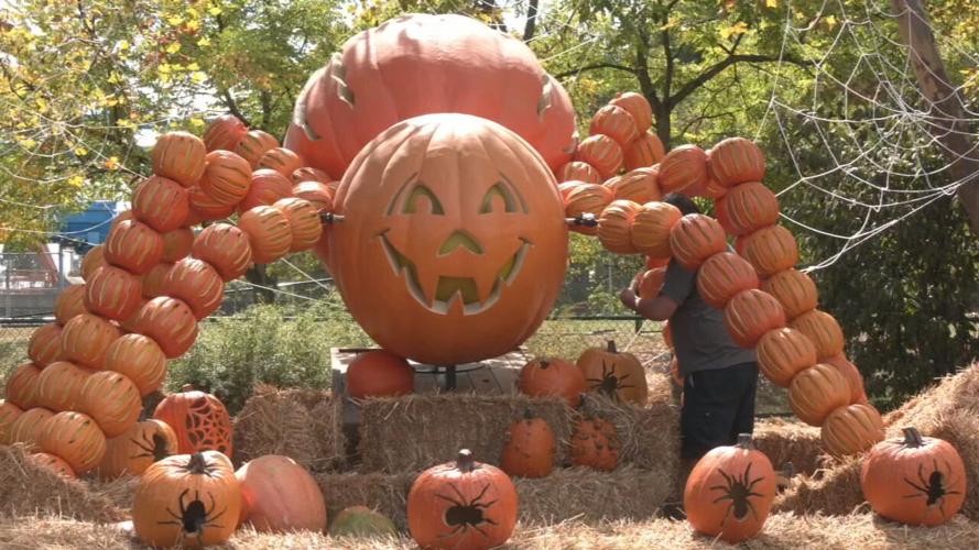 Pumpkins at Kentucky Kingdom.jpeg