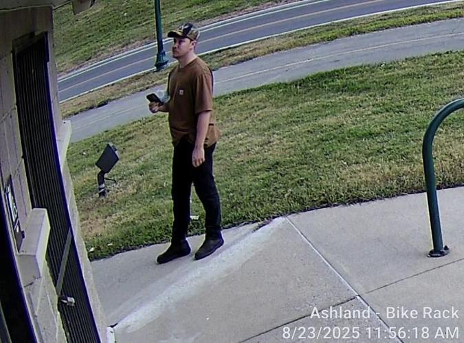 Ashland Park Theft Suspect