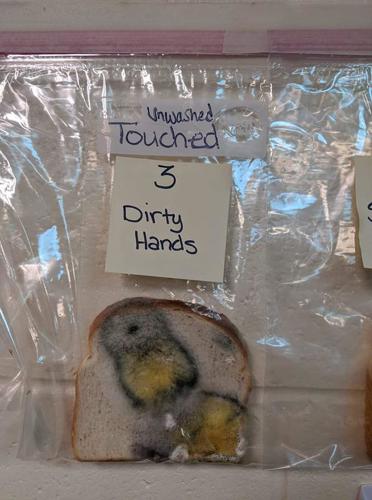 IDAHO - HAND WASHING EXPERIMENT - COURTESY JARALEE ANNICE METCALF ON FACEBOOK 4.jpg