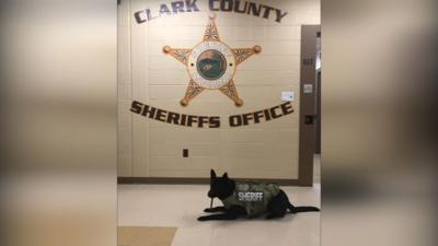 Clark County K-9 officer new vest.jpg
