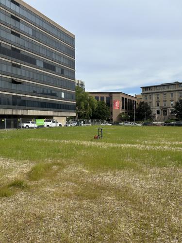 Lou med commons-2.jpg