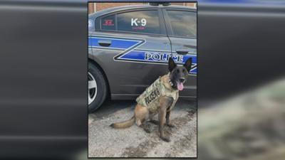 Shelbyville K9 officer JC